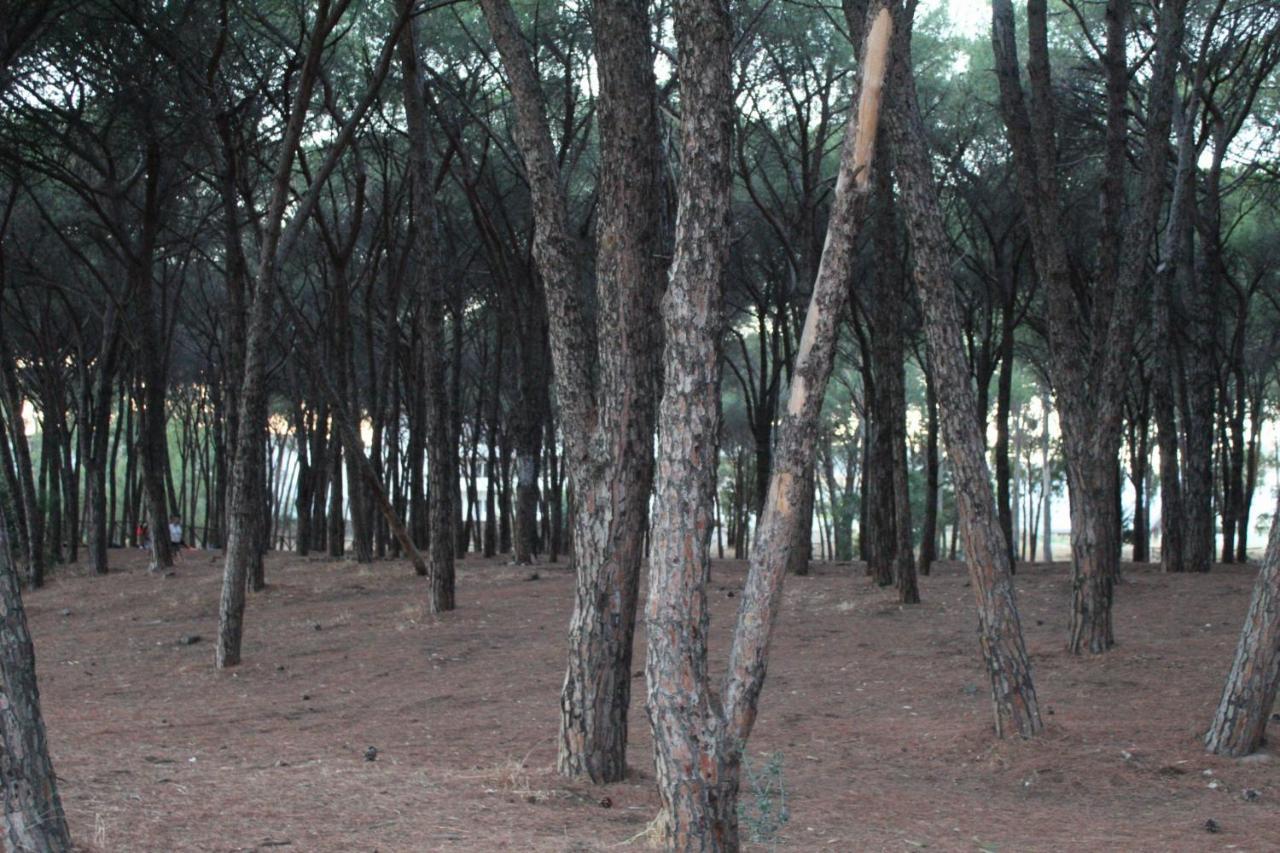 Park Hotel Le Dune Di Giovino Catanzaro Bagian luar foto